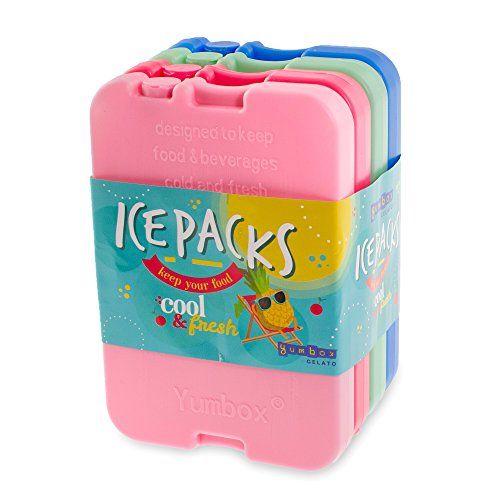 Ice Packs (4 Packs)